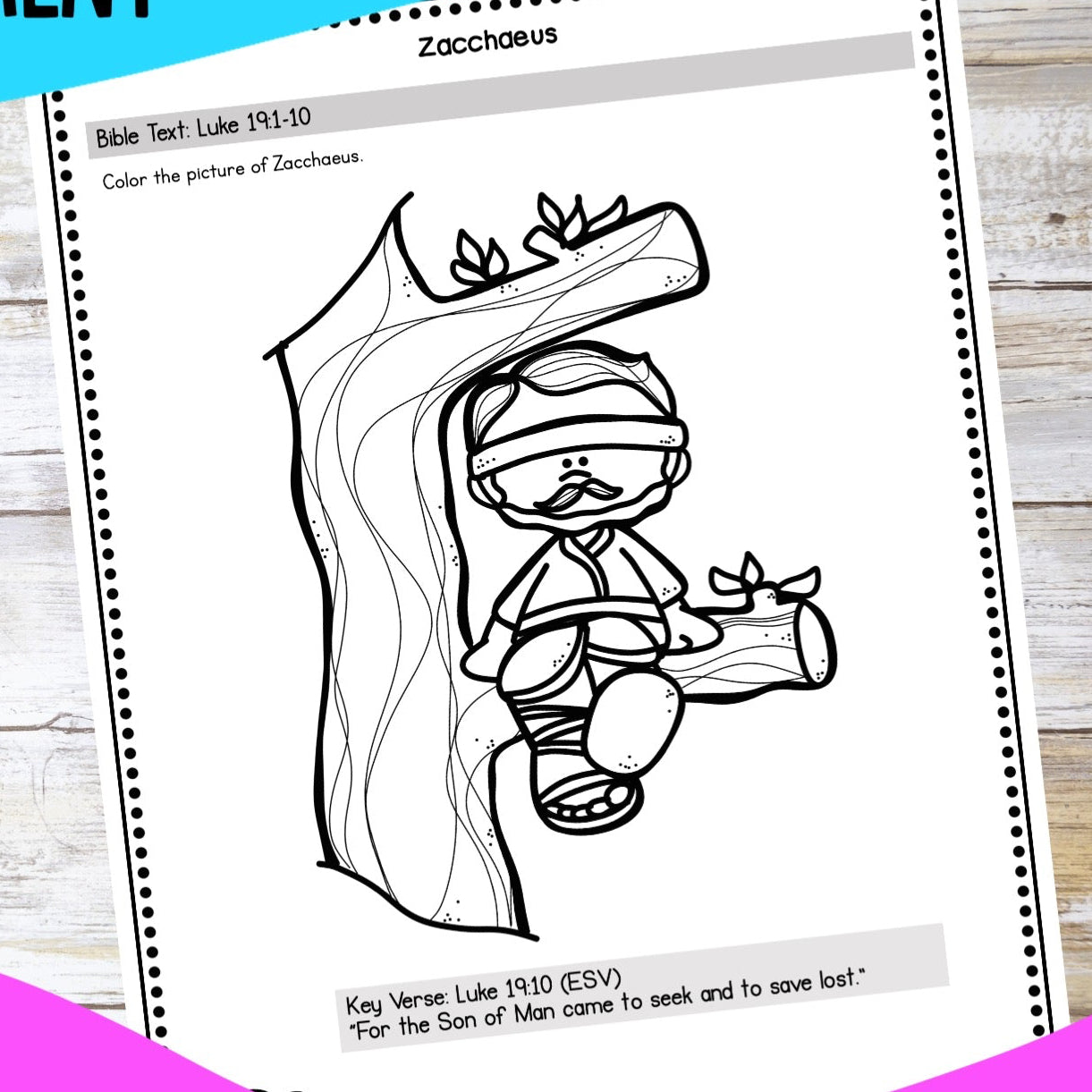 Bible Lesson coloring page on the story of Zacchaes sitting in the Sycamore tree